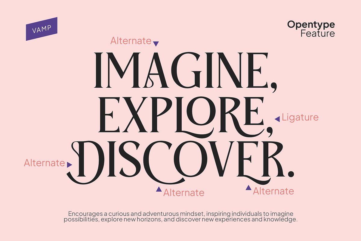 Anger Classic Serif Font, a Serif Font by Vampstudio (Photo 9 of 13)
