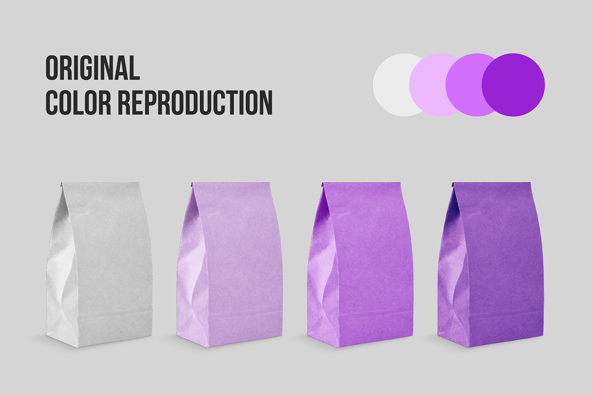 Craft Coffee Bag Mockup, a Product Mockup by BlackMockup (Photo 7 of 11)