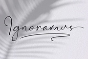 Bontana - Elegant Calligraphy Font, a Script Font by Flawless And Co (Thumbnail 4 of 10)