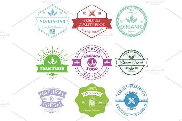 Set Of Vintage Style Elements