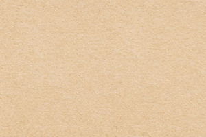 Light Brown Paper Texture Background, a Background Photo by Hamza067
