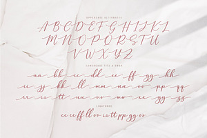 Halegio Modern Calligraphy Font