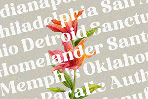 Folker Typeface