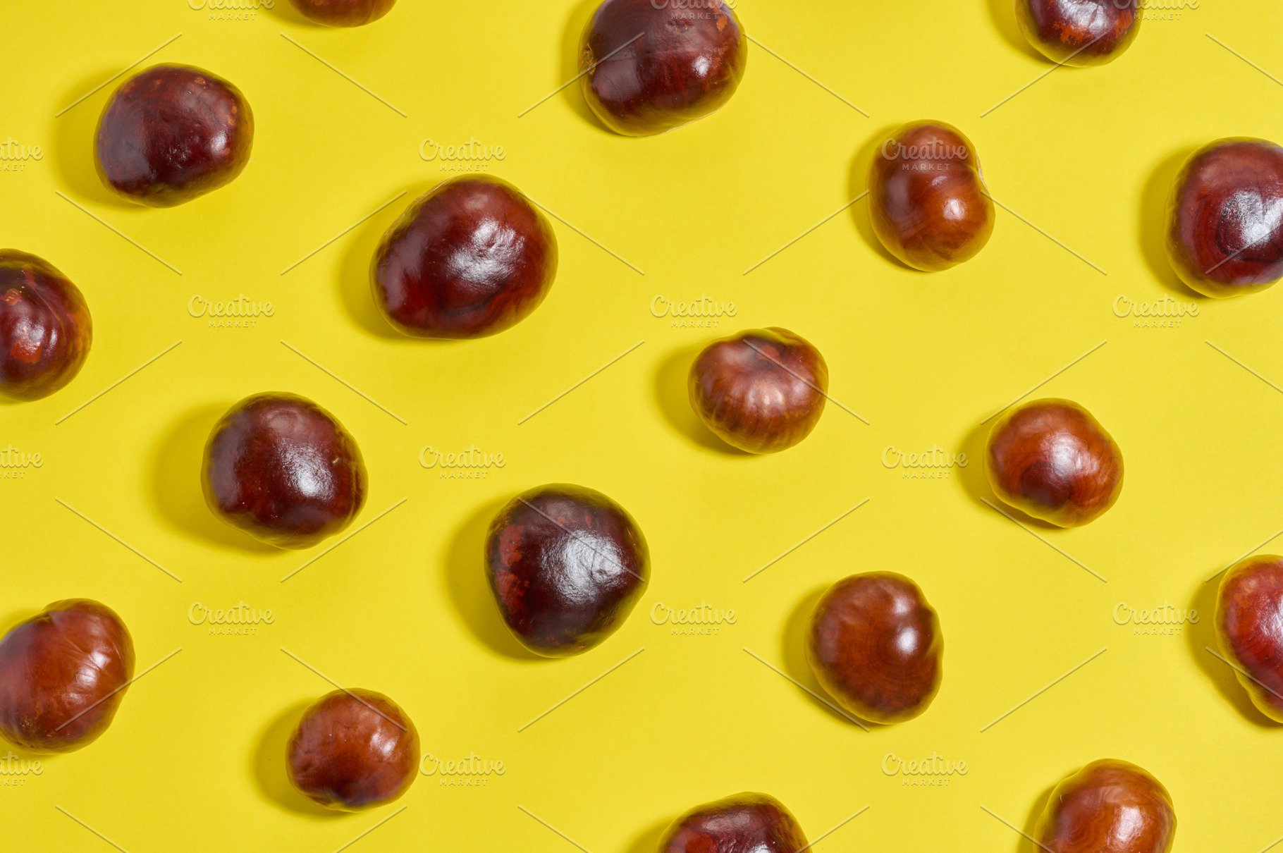 A bright, flat pattern of glossy horse chestnut fruit on a sunny, a Background Photo by ndanko