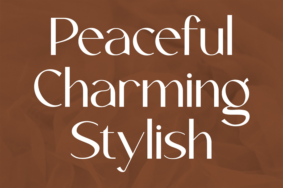 Legowo - Modern Elegant Font, a Sans Serif Font by Pekotype (Photo 2 of 16)