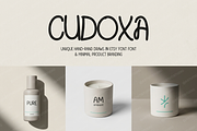 Cudoxa | Modern Luxury Serif Typefac, a Serif Font by Astuti Studio (Thumbnail 23 of 25)