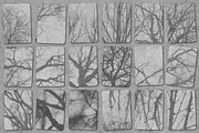 Tree shadow overlay stamps Procreate, a Brush Add-On by TheWhiteCatLab (Thumbnail 7 of 9)