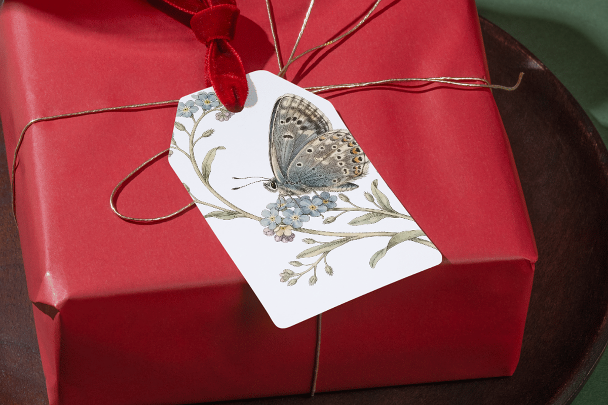 Vintage Botanical Butterflies, a Decorative Illustration by youtoview (Photo 13 of 15)