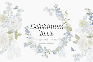 Delphinium Blue Delicate Flowers