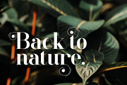 LastOne Display, a Font by nurrontype (Thumbnail 3 of 12)