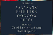 Galgen Modern Serif Font, a Serif Font by Alfinart (Thumbnail 11 of 11)