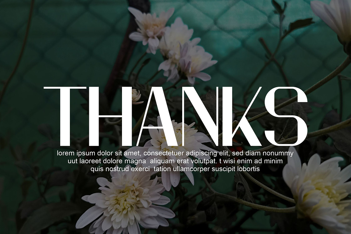 Urino, a Serif Font by riotama85 (Photo 5 of 5)