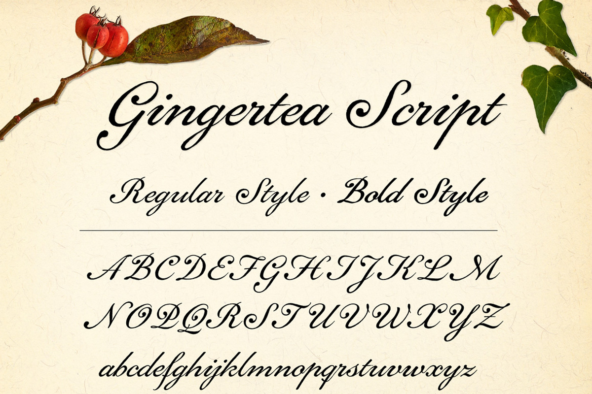 Gingertea Script Font preview 5