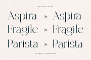 Rhiffiral, a Serif Font by Dora Typefoundry (Thumbnail 6 of 30)