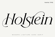 Histeagin Serif, a Serif Font by Yahya Type (Thumbnail 2 of 25)