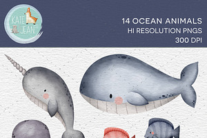 Ocean Animals