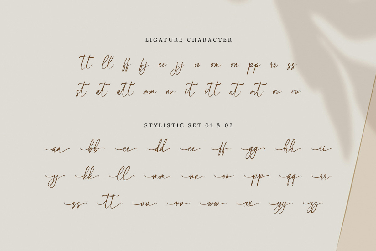 Shintalova - Elegant Script Font, a Script Font by Bluestype Studio (Photo 9 of 9)