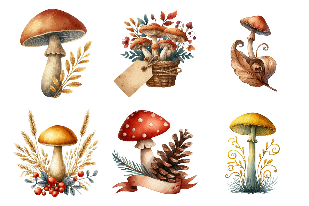 Watercolor Autumn Mushroom Clipart, an Illustration by Daily.Designs (Photo 3 of 5)