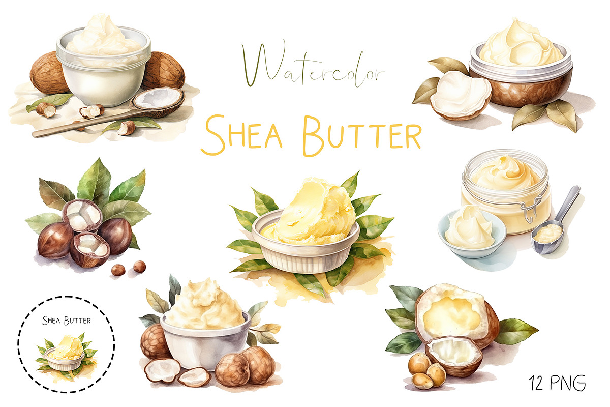 Watercolor Shea nuts plant, berry, an Object Graphic by KomtsyanTatyanaArt (Photo 1 of 3)