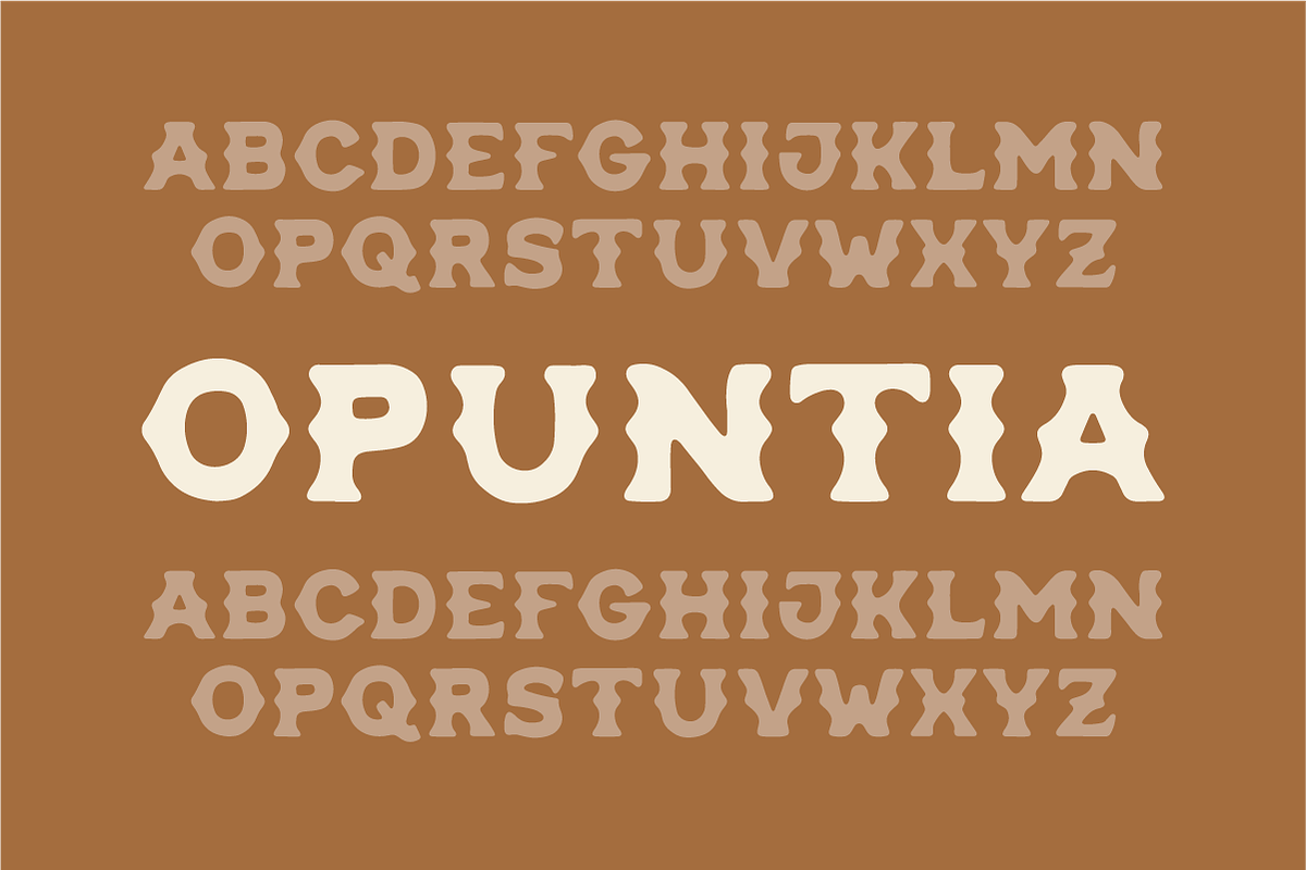 Opuntia - Curvy Spur Display Type, a Serif Font by MEG BURK CHOI (Photo 3 of 4)