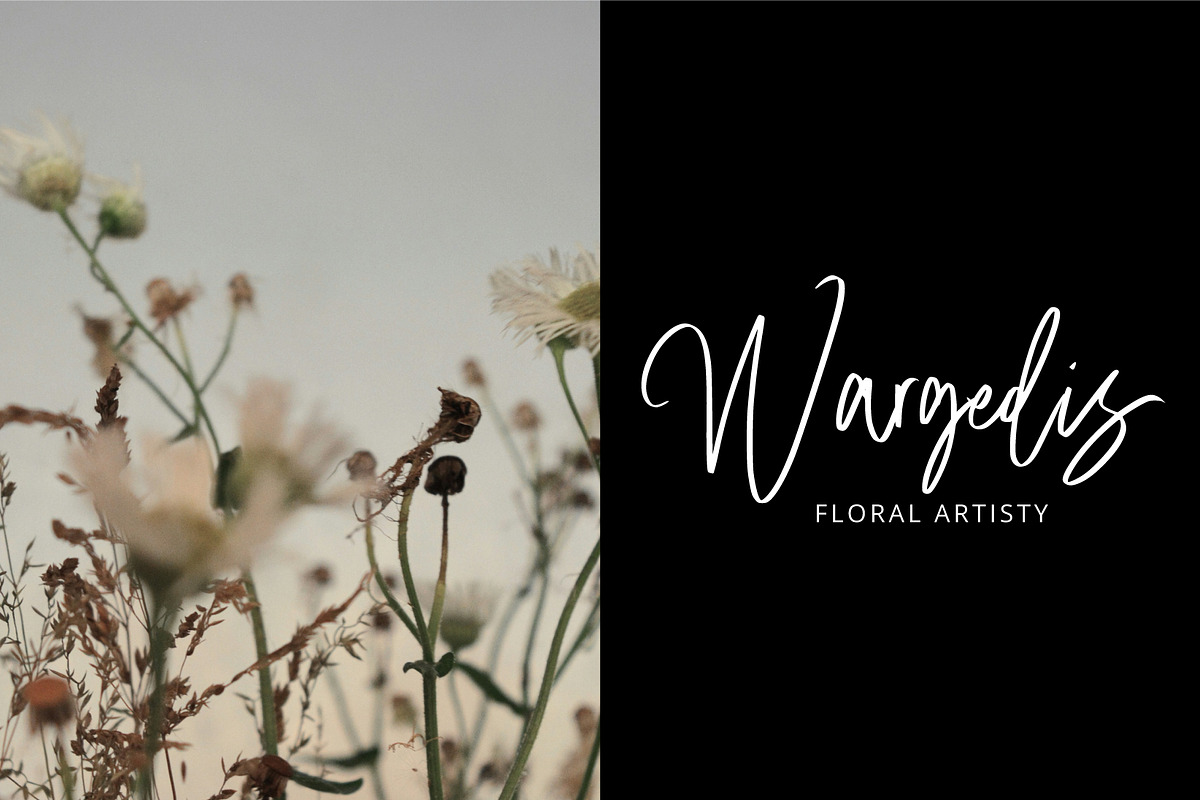 Masha Signature, a Handwritten Font by Eltypesstudio (Photo 7 of 10)