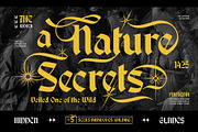 Break Roman Typeface, a Blackletter Font by alit design (Thumbnail 7 of 17)