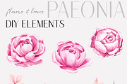 Peony Watercolor Collection, an Illustration by Backyard Rose (Thumbnail 3 of 16)