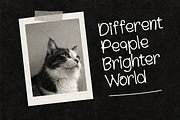 Wimora Playful Handwritten Typeface, a Handwritten Font by Muksal Creative (Thumbnail 11 of 12)