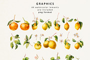 Citrus mood-summer seamless patterns, a Pattern Graphic by Pamyatka Shop (Thumbnail 12 of 13)