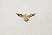 Geometric Luxury Eagle Logo, a Branding & Logo Template by Luxury Logos (Thumbnail 4 of 4)
