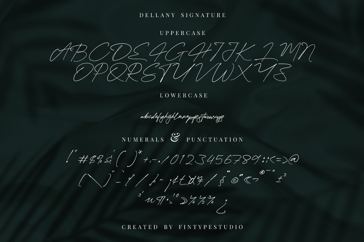 Dellany Signature Business Font, a Script Font by KennedyStudio (Photo 6 of 9)
