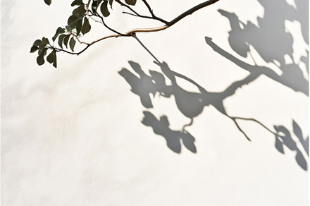 Shadow of tree branches and leaves, a Background Photo by Sergey Kotenev