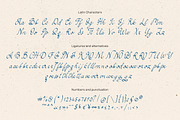 Simple Elegance Script, a Handwritten Font by DesignThatMatters (Thumbnail 13 of 15)