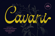 Cavani, a Script Font by Soft Creative (Thumbnail 1 of 13)