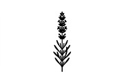 Lavender Flower Silhouette Set, an Object Graphic by Designer_Momina (Thumbnail 2 of 3)