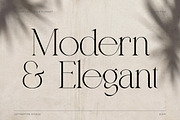 Qareky a Modern & Elegant Serif, a Serif Font by Lettertype Studio (Thumbnail 2 of 20)