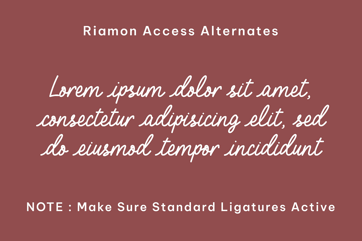 Riamon - lines stylish script font, a Script Font by Fontcastle (Photo 3 of 7)
