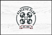 10 Power Gym Logo Badge Bundle, a Sport Illustration by Artivon (Thumbnail 8 of 10)