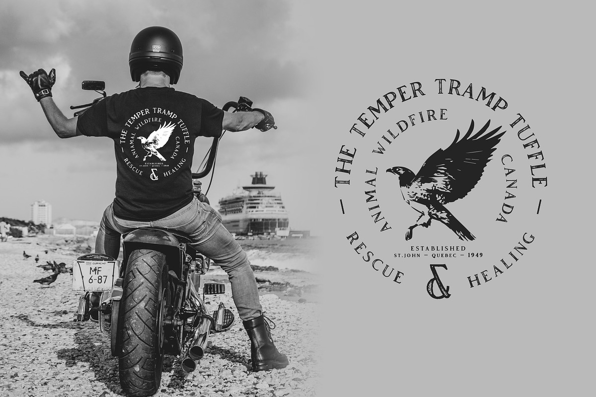 Vendeur Vintage Font Family + Extras preview 6
