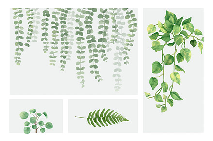 Illustration of leaf