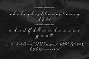 Charleston Handwriting Font, a Script Font by Silverdav (Thumbnail 15 of 15)