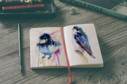 Watercolor illustration with bird, an Animal Illustration by Vavavka (Thumbnail 2 of 5)