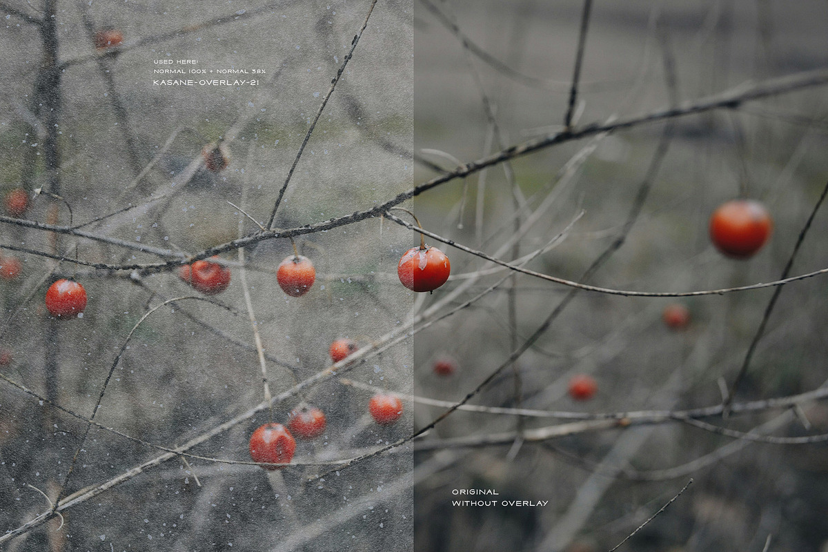 Kasane - Japanese Paper Overlays, a Texture Graphic by alonahaidash (Photo 11 of 22)