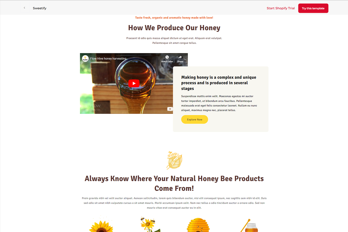 Sweetify Store Shopify Template, a Shopify Template by LTheme (Photo 2 of 2)