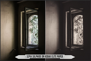 Darkroom Toners - Sepia Split