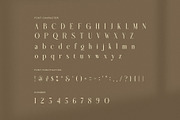 Garage Fashion Editorial Serif Font, a Serif Font by Graphicxell (Thumbnail 7 of 8)