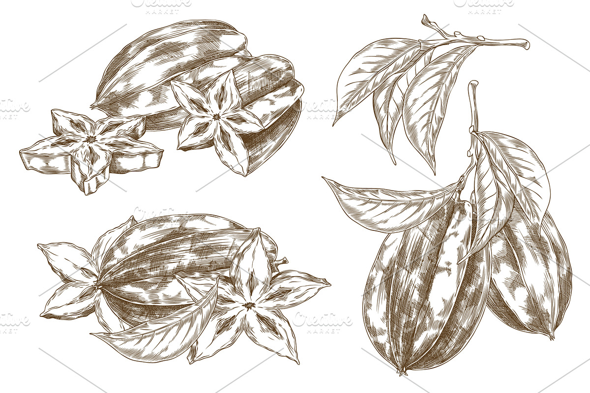 Vector set of elements with a, a Food Illustration by Sabelskaya