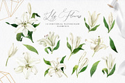 White Lilies Watercolor Set, an Illustration by Natalia Fedorova (Thumbnail 2 of 12)
