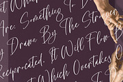 Silentone Barcelona Modern Script, a Script Font by Letterena Studios Script (Thumbnail 11 of 15)