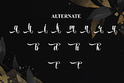 Wonder | Script Font, a Handwritten Font by Scratchones (Thumbnail 8 of 9)